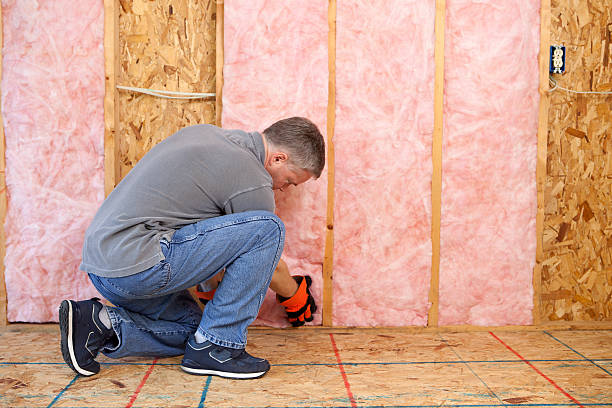 Best DIY Insulation Kits and Guidance in Penhook, VA