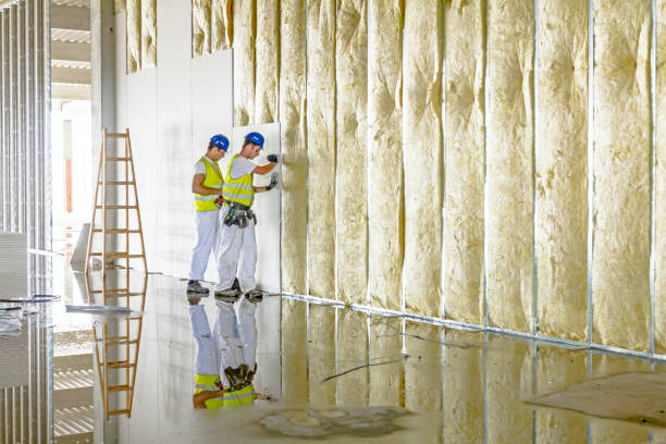 Best Specialized Insulation Services in Penhook, VA